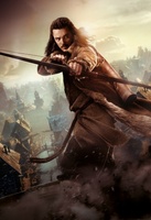 The Hobbit: The Desolation of Smaug movie poster (2013) mug #MOV_0050731d