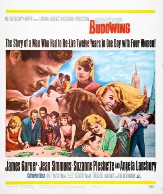 Mister Buddwing movie poster (1966) wood print