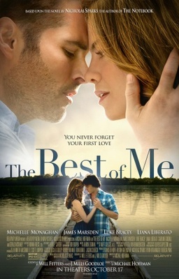 The Best of Me movie poster (2014) wood print