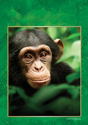 Chimpanzee movie poster (2012) canvas poster
