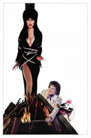 Elvira, Mistress of the Dark movie poster (1988) Mouse Pad MOV_02a10739