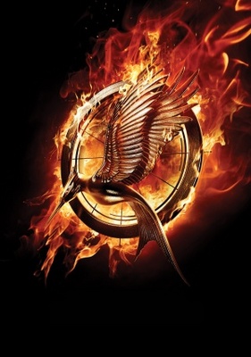 Catching Fire movie poster (2013) pillow