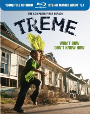 Treme movie poster (2010) canvas poster