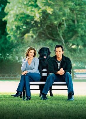 Must Love Dogs movie poster (2005) canvas poster