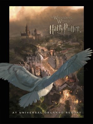 Harry Potter: Wizarding World movie poster (2009) metal framed poster