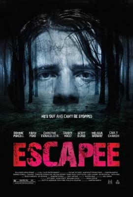 Escapee movie poster (2011) wooden framed poster