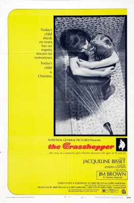The Grasshopper movie poster (1969) poster with hanger