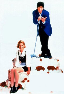 The Wedding Singer movie poster (1998) wooden framed poster