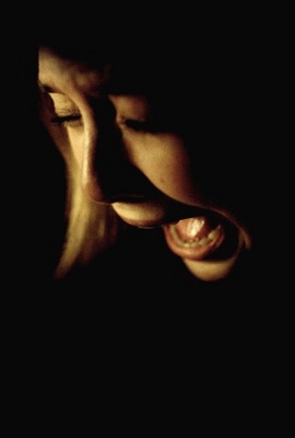 Silent House movie poster (2011) mug