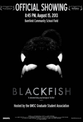 Blackfish movie poster (2013) poster with hanger