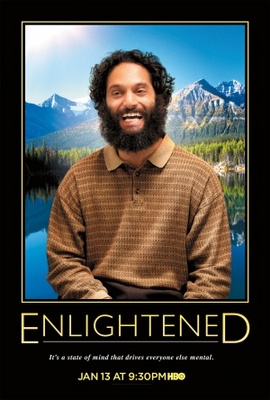 Enlightened movie poster (2010) wooden framed poster