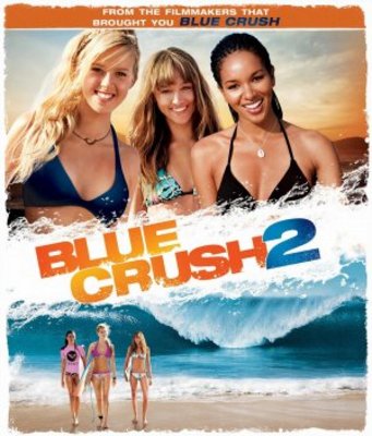 Blue Crush 2 movie poster (2011) wooden framed poster