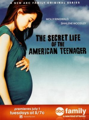 The Secret Life of the American Teenager movie poster (2008) mug