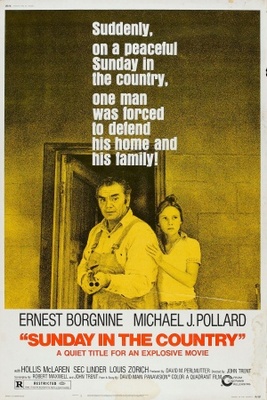 Sunday in the Country movie poster (1974) mug