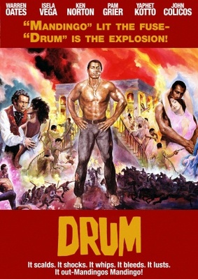 Drum movie poster (1976) wood print