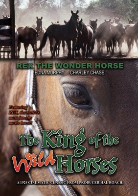 The King of the Wild Horses movie poster (1924) poster with hanger