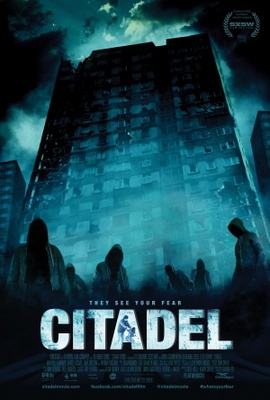 Citadel movie poster (2012) pillow
