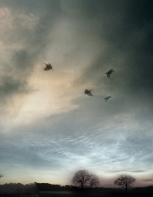 Flu Bird Horror movie poster (2008) Tank Top