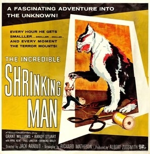 The Incredible Shrinking Man movie posters (1957) poster