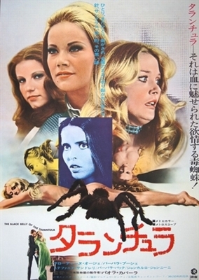 Tarantola dal ventre nero, La movie posters (1971) pillow