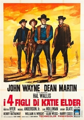 The Sons of Katie Elder movie posters (1965) canvas poster