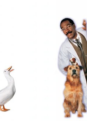 Doctor Dolittle movie poster (1998) wood print