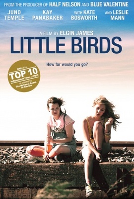 Little Birds movie poster (2011) wooden framed poster