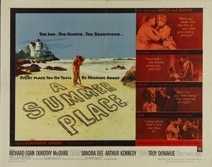 A Summer Place movie posters (1959) wood print