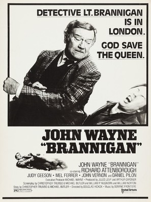 Brannigan movie posters (1975) hoodie
