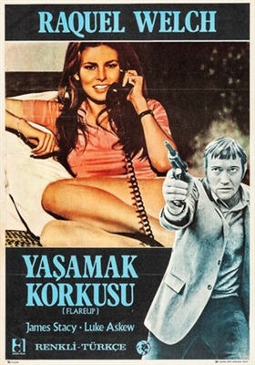 Flareup movie posters (1969) canvas poster