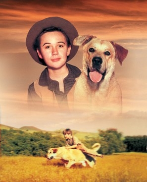 Old Yeller movie posters (1957) canvas poster