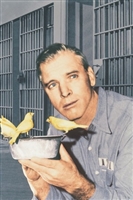 Birdman of Alcatraz movie posters (1962) magic mug #MOV_1830855