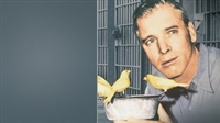 Birdman of Alcatraz movie posters (1962) magic mug #MOV_1830856
