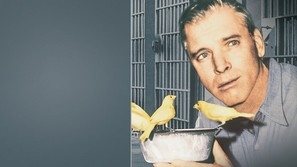 Birdman of Alcatraz movie posters (1962) puzzle MOV_1830856