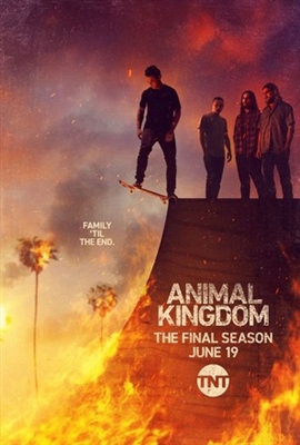 Animal Kingdom movie posters (2016) wood print