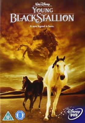 The Young Black Stallion movie posters (2003) poster with hanger