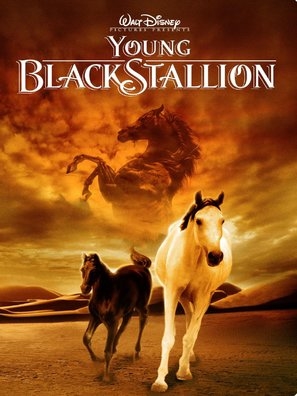 The Young Black Stallion movie posters (2003) canvas poster