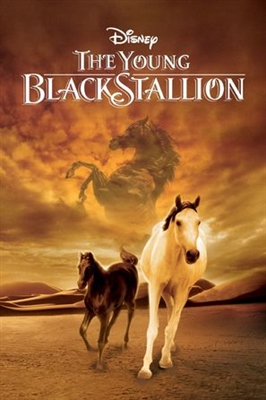 The Young Black Stallion movie posters (2003) wooden framed poster
