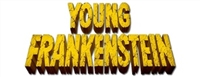 Young Frankenstein movie posters (1974) Longsleeve T-shirt #3606171