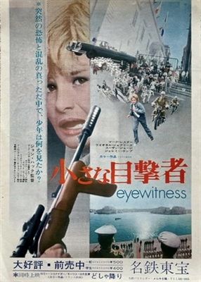 Eyewitness movie posters (1970) wooden framed poster