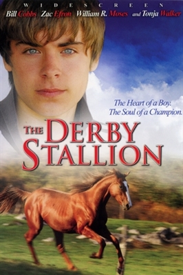 The Derby Stallion movie posters (2005) wooden framed poster