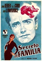 The Family Secret movie posters (1951) magic mug #MOV_1863720