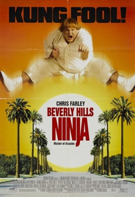 Beverly Hills Ninja movie posters (1997) wooden framed poster