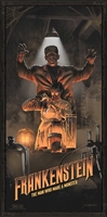 Frankenstein movie posters (1931) Longsleeve T-shirt #3623070