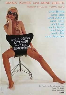 Dagmars Heta Trosor movie posters (1971) metal framed poster