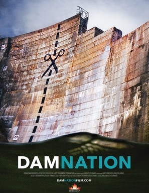 DamNation movie posters (2014) metal framed poster