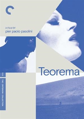 Teorema movie posters (1968) pillow
