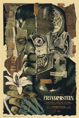 Frankenstein movie posters (1931) wooden framed poster