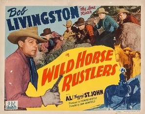 Wild Horse Rustlers movie posters (1943) canvas poster
