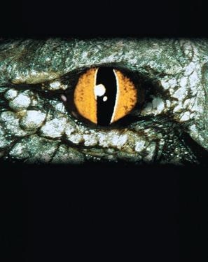 Crocodile movie posters (2000) wood print